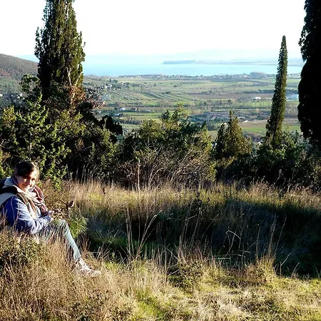 Bed and Breakfast Gabri 3*