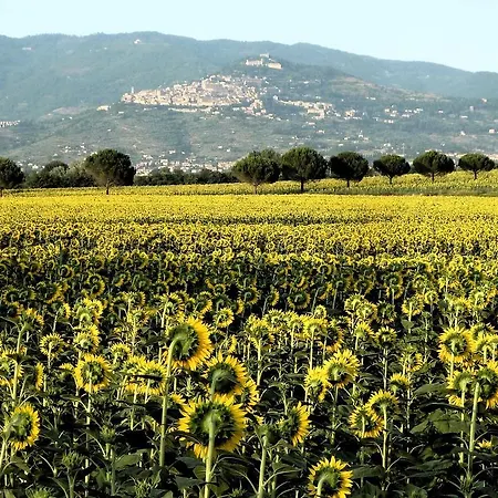 Gabri Alojamento de Acomodação e Pequeno-almoço Cortona